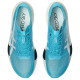 Asics Metaspeed Sky Tokyo